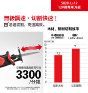 DEVON 大有 5828-Li-12 reciprocating saw