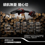 DEVON 大有 4559-Li-20 pruning chainsaw