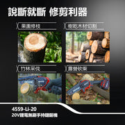 DEVON 大有 4559-Li-20 pruning chainsaw