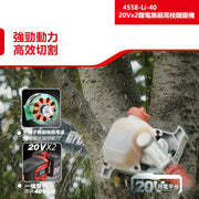 DEVON 大有 4558-Li-40 pole chainsaw