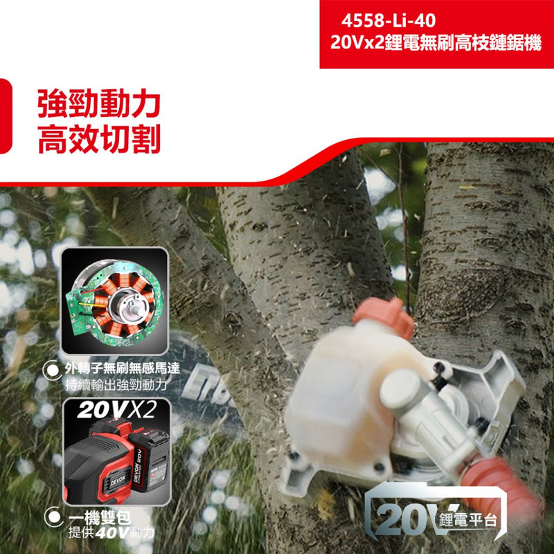 DEVON 大有 4558-Li-40 pole chainsaw