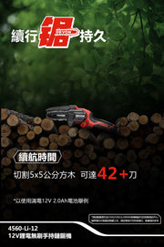 DEVON 大有 4560-Li-12 mini chainsaw