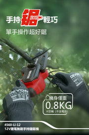 DEVON 大有 4560-Li-12 mini chainsaw