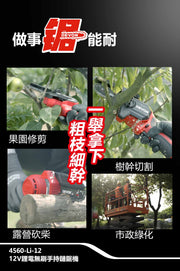 DEVON 大有 4560-Li-12 mini chainsaw