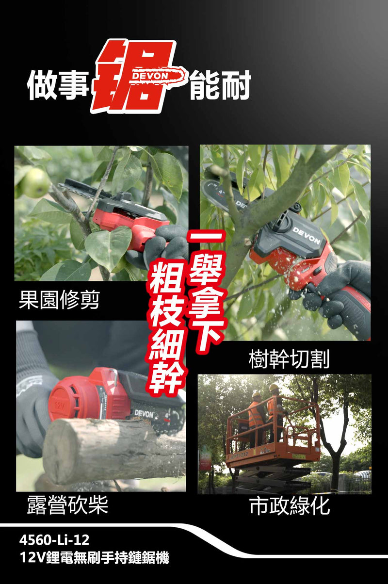 DEVON 大有 4560-Li-12 mini chainsaw