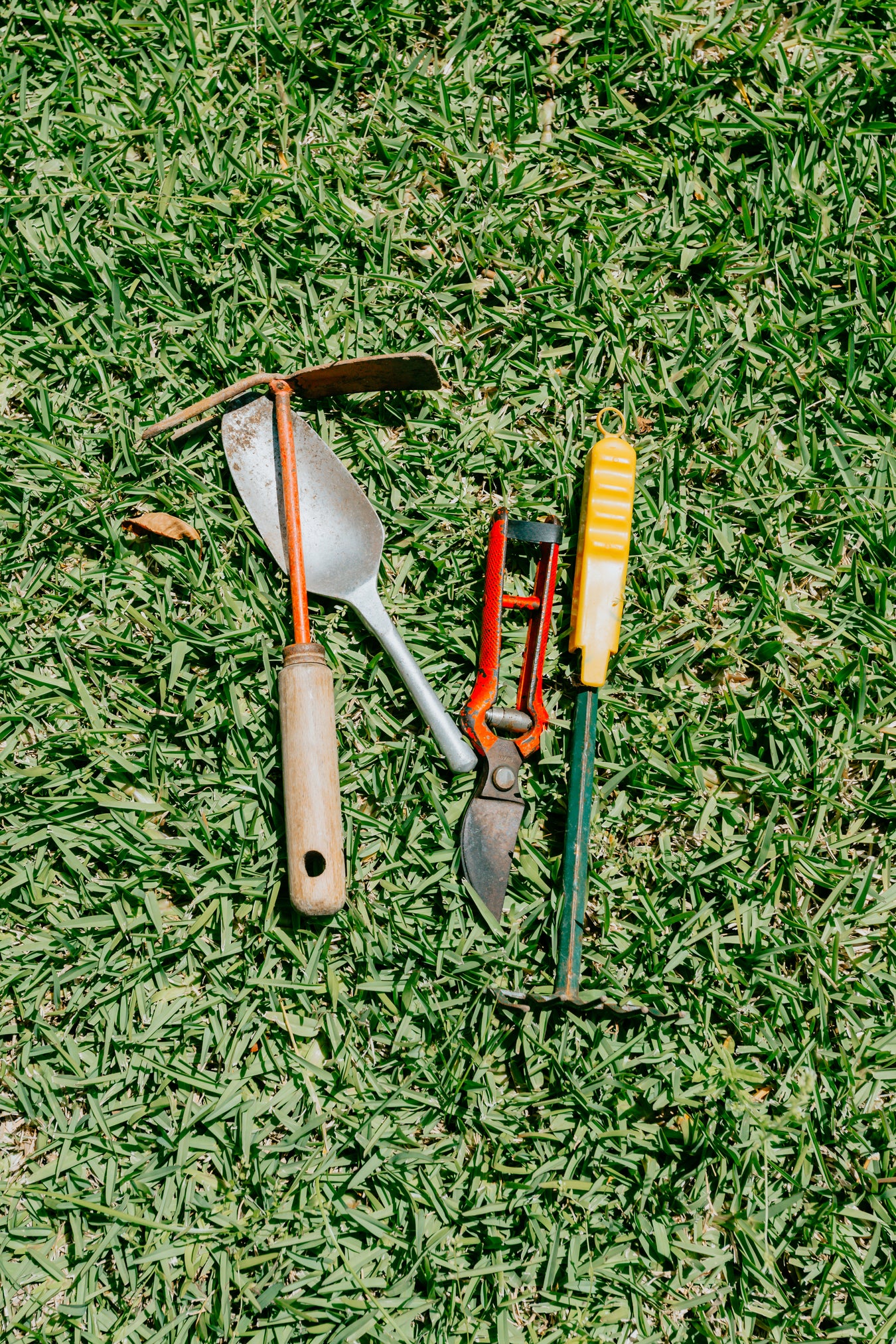 Gardening