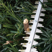 Makita 牧田 UH020G 40Vmax XGT Cordless Hedge Trimmer, 500mm (19-3/4") – photo 4