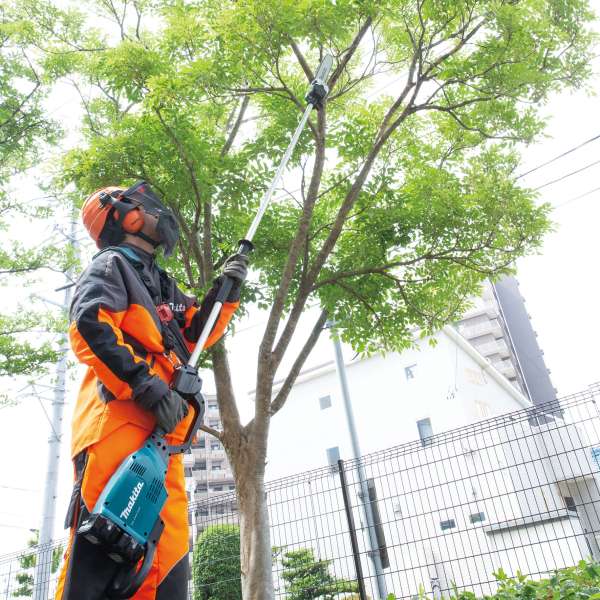 Makita 牧田 DUA300 36V (18V×2) LXT Cordless Pole Saw (11-3/4") – photo 2